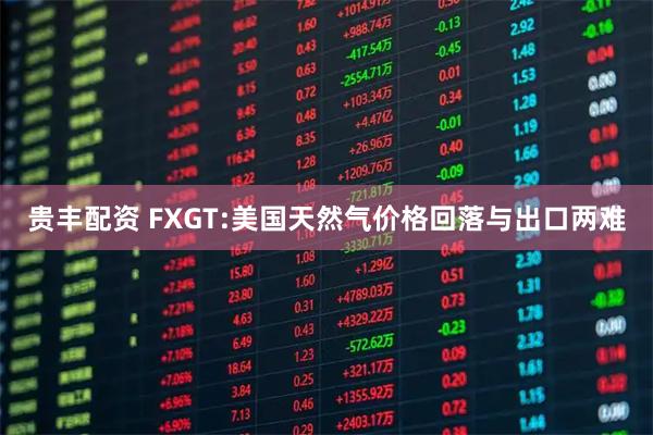 贵丰配资 FXGT:美国天然气价格回落与出口两难