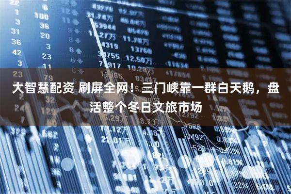 大智慧配资 刷屏全网！三门峡靠一群白天鹅，盘活整个冬日文旅市场