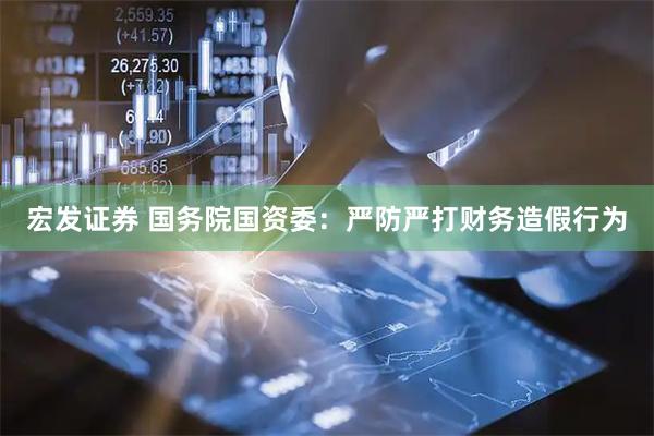 宏发证券 国务院国资委：严防严打财务造假行为
